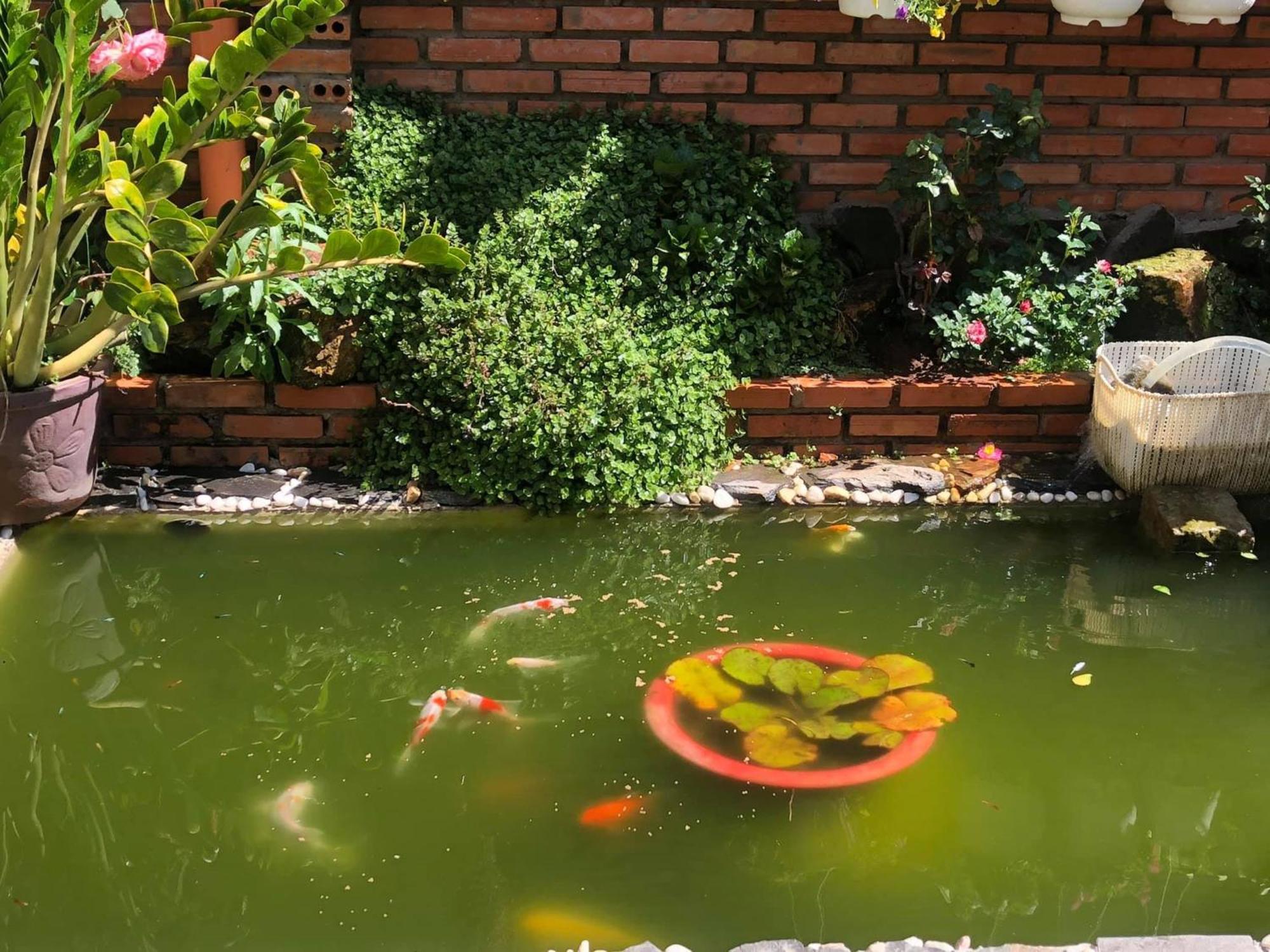Ferienwohnung Rose House Đà Lạt Exterior foto